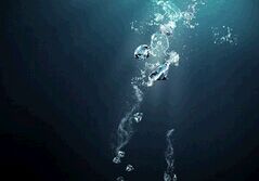 ����ˮ�뻷��-�й����ʴ�ѧ������