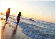 ���Ե���ѧ���ѧ- Ү³��ѧ������