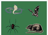 ����ѧ����-��ʡ����ѧԺ������