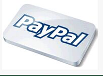 PayPal��ʼ�˼���ǰ��CEO�ݽ�-˹̹����ѧ������