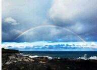 �����ʺ�-Ӣ��������ѧ������