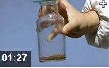 ��˿��������ȼ����Ƶ