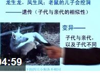 �߿���������