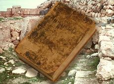 ��ʥ������ŷ������-�Ͽ���ѧ������