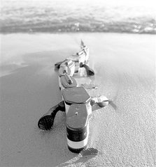 ������������